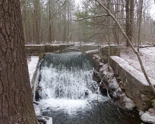 Michaux State Forest