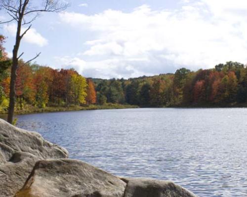 Parker Dam State Park