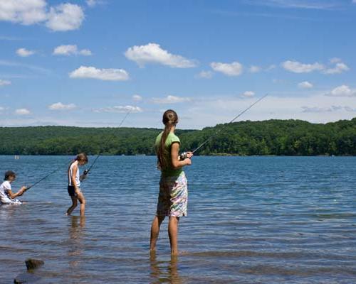 Prince Gallitzin State Park