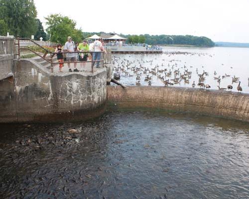 Pymatuning State Park