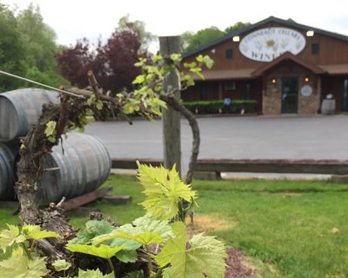 Conneaut Cellars Winery