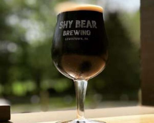 Shy Bear Brewing