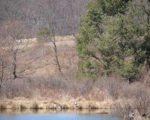 beaver creek Natural Area