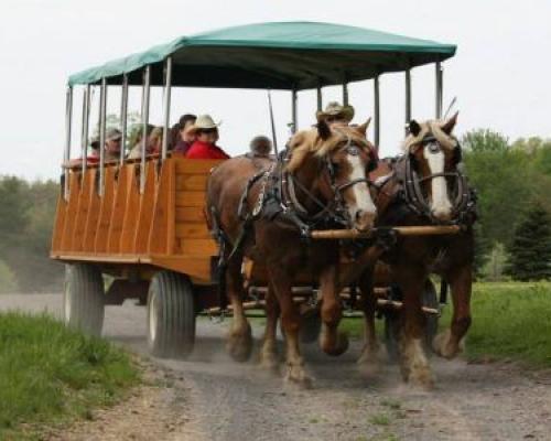 horse drawn wagon ride