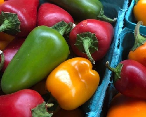 green red orange peppers