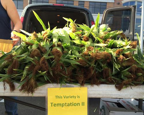 corn on truck for sale