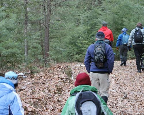 group of people hiking