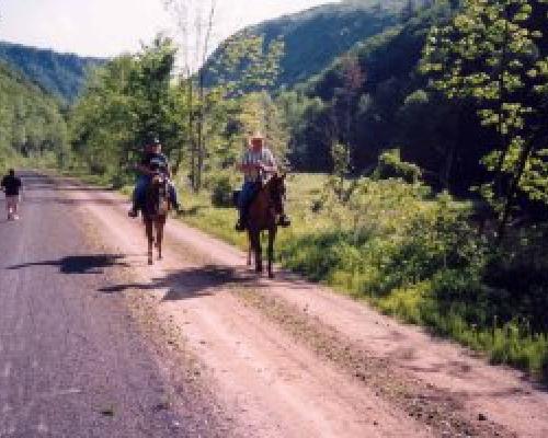 horse back riding Pine Creek Trail old site rail trail