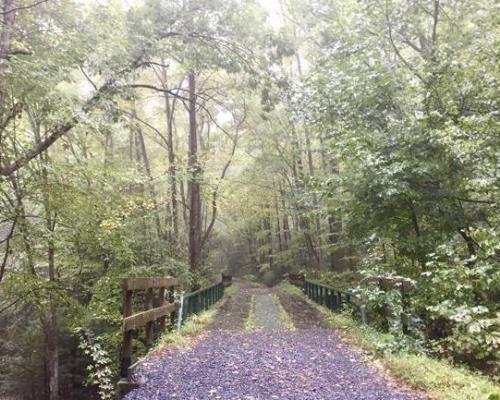 trail path stone valley