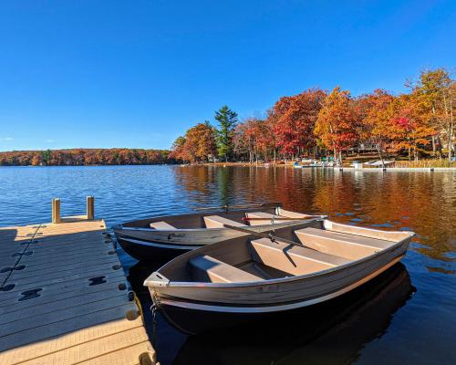 paddle boats docked