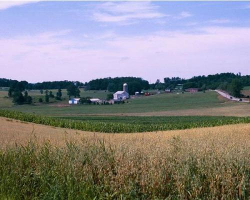 A field of grass with buildings in the background