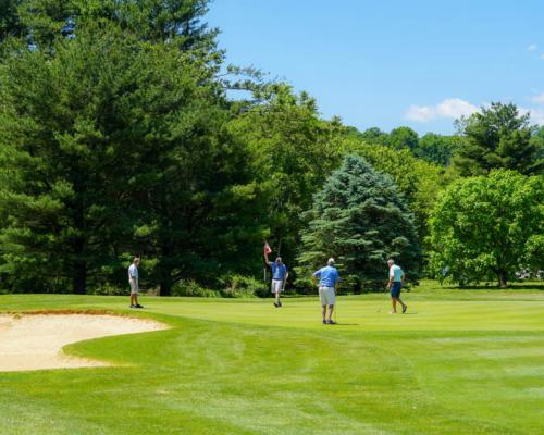 group of people playing golf